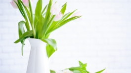 portfolio-92-Digital