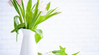 portfolio-92-Digital